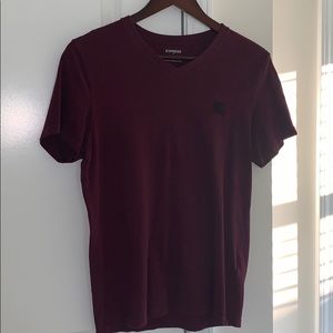 Men’s Express V-Neck Tees